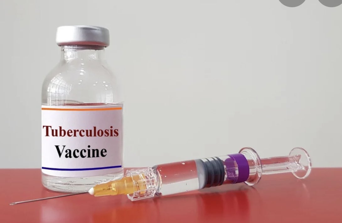 Tuberculosis Vaccines